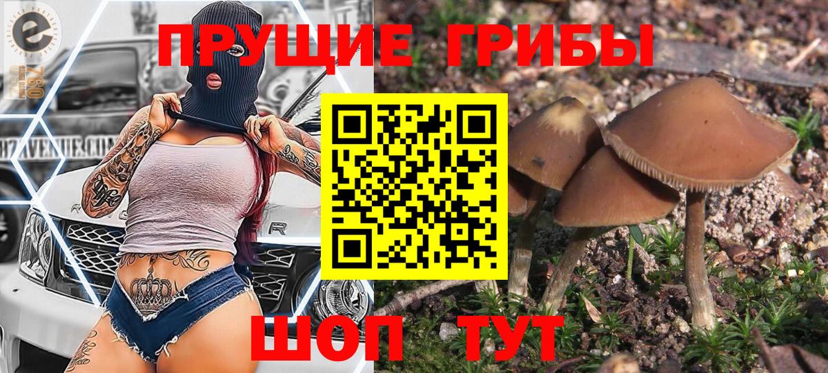 Галлюциногенные грибы ЛСД Волгодонск